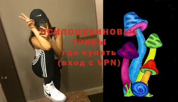 амф Заволжье