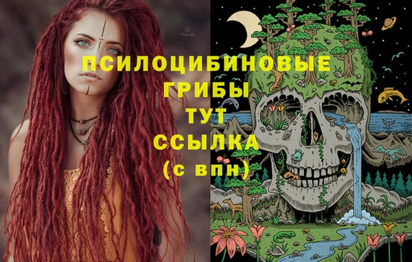 амф Заволжье