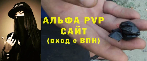 амф Заволжье