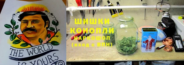 амф Заволжье