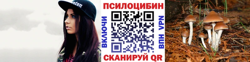 Галлюциногенные грибы Magic Shrooms  кракен ссылки  Сельцо 